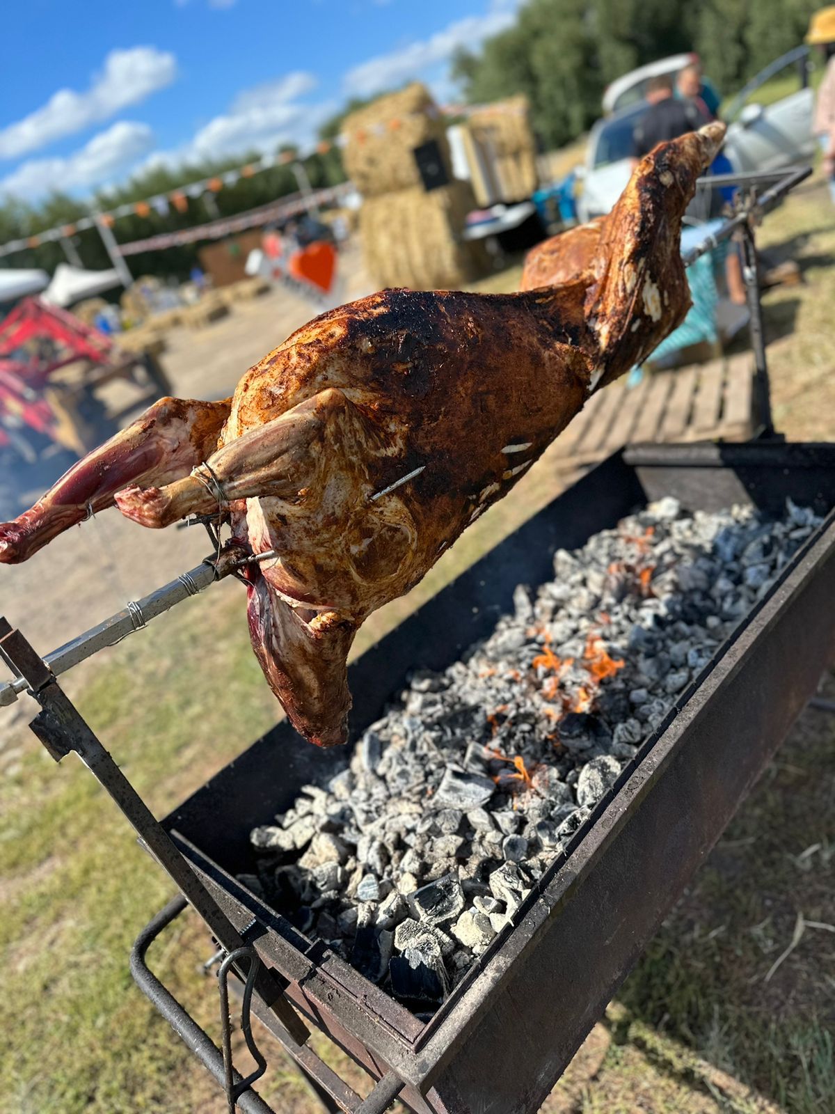Кейтеринг сервис 11